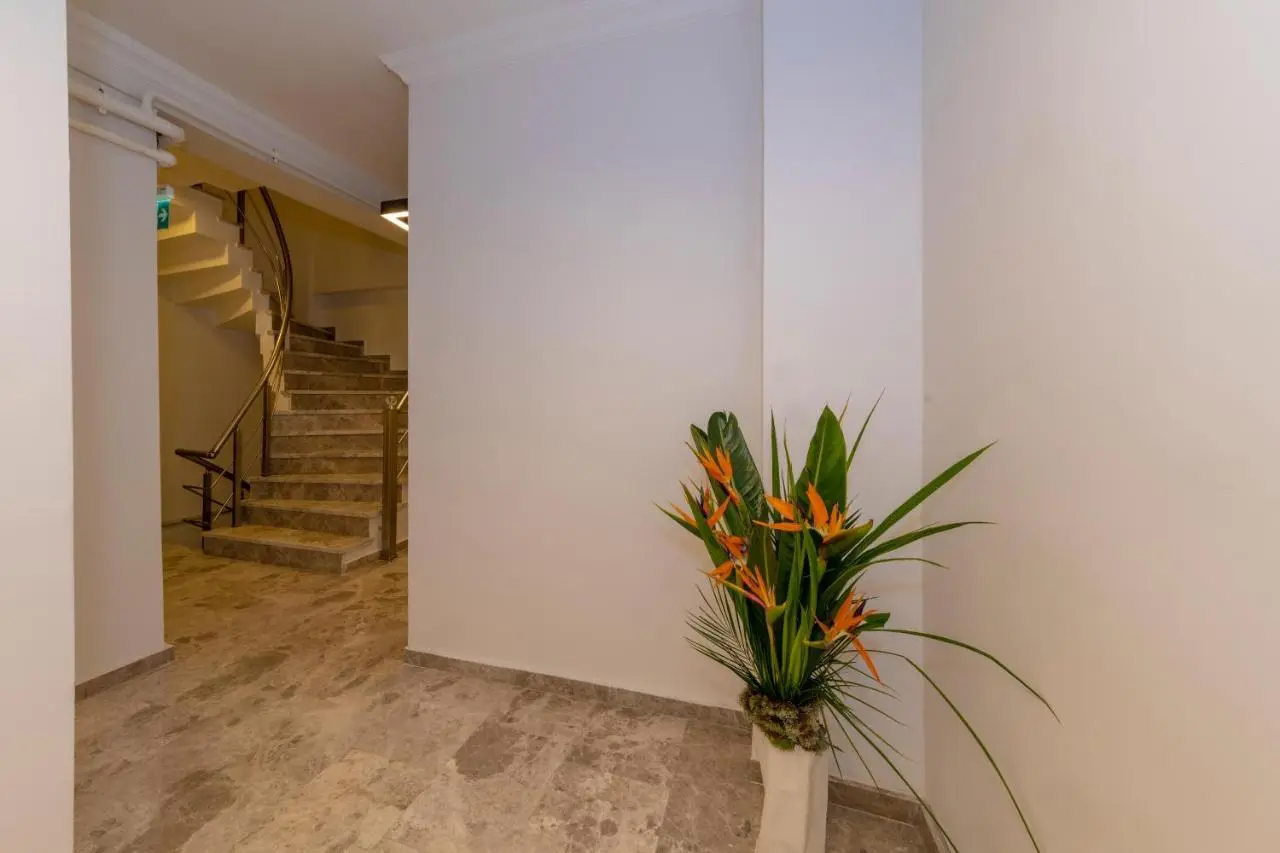 Joy Suites