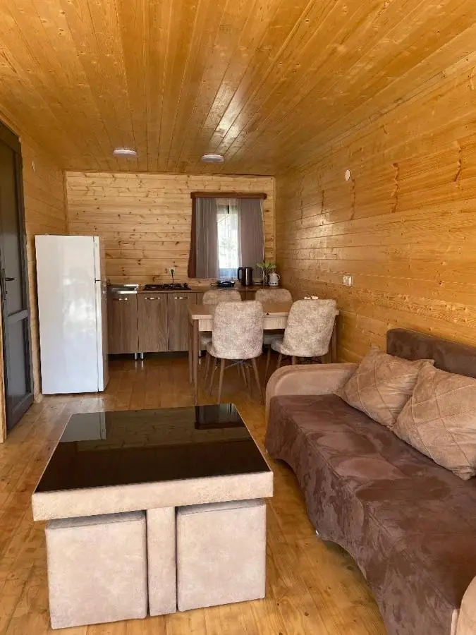 Twin cottages kazbegi 2