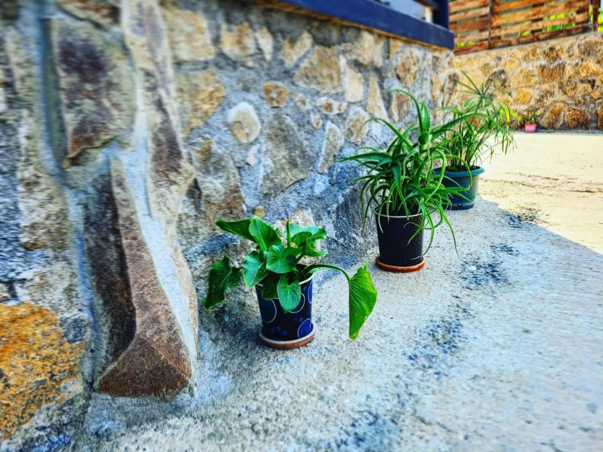 Family hotel mountain panorama