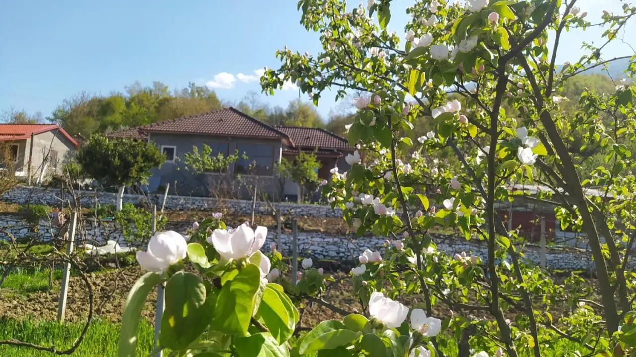 Spring Village Home