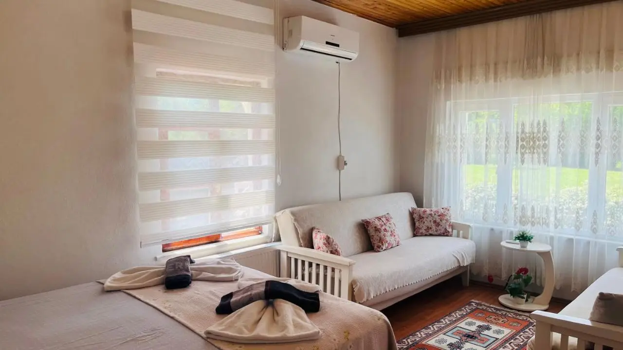 Sapanca Eren Villa-Isıtma Havuzlu
