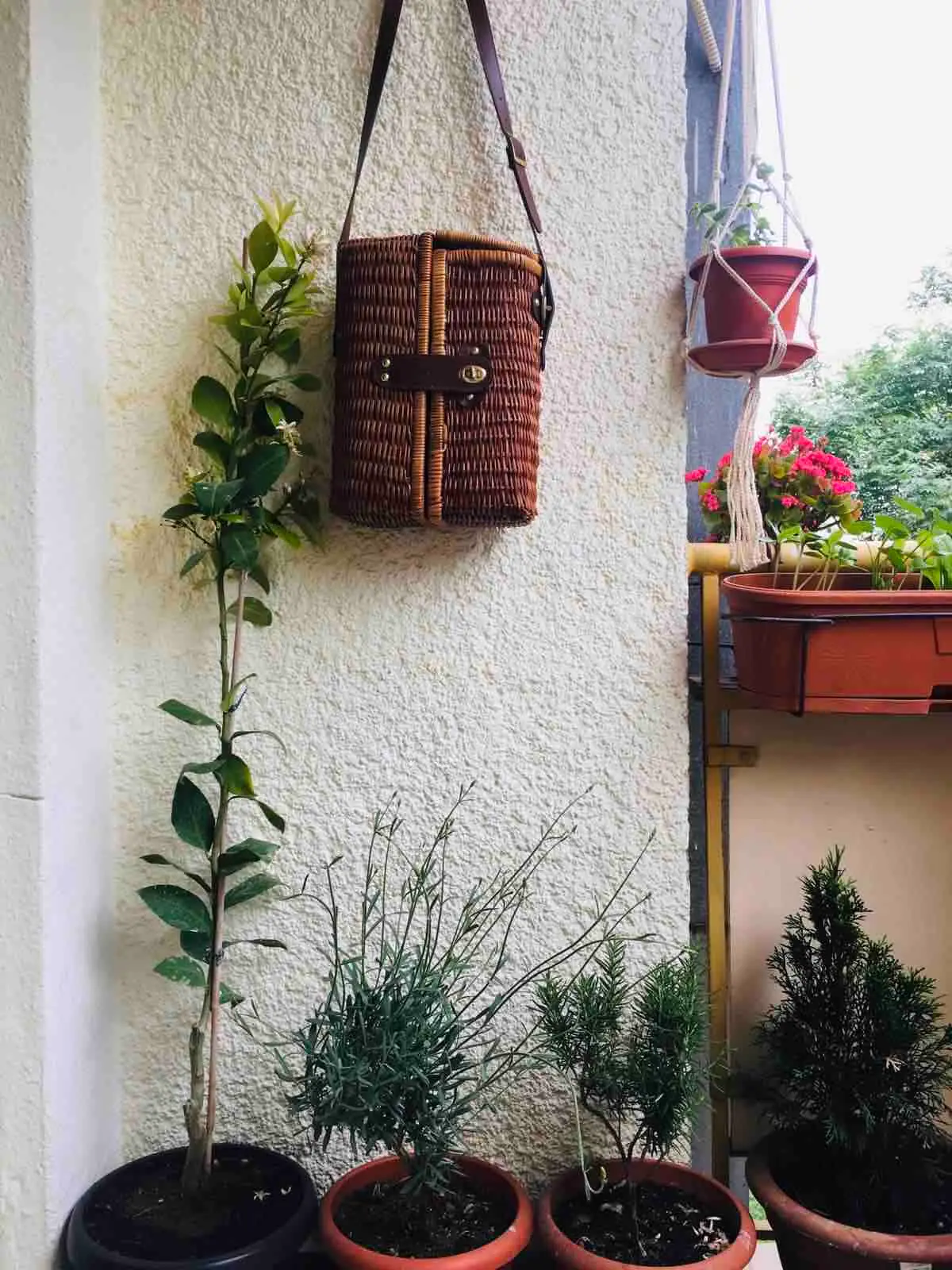 Private room in authentic and charming city nest