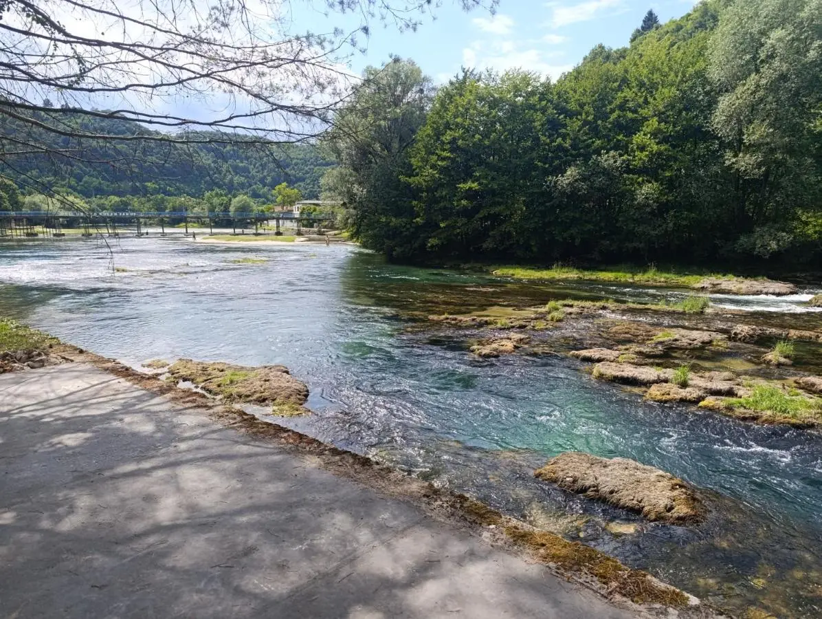 River Nest