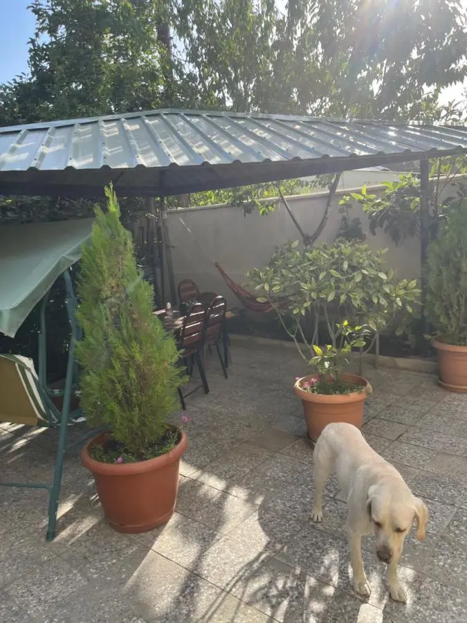 Cozy space in Tbilisi
