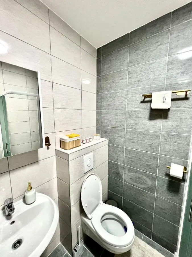 Luxury apartment Ema