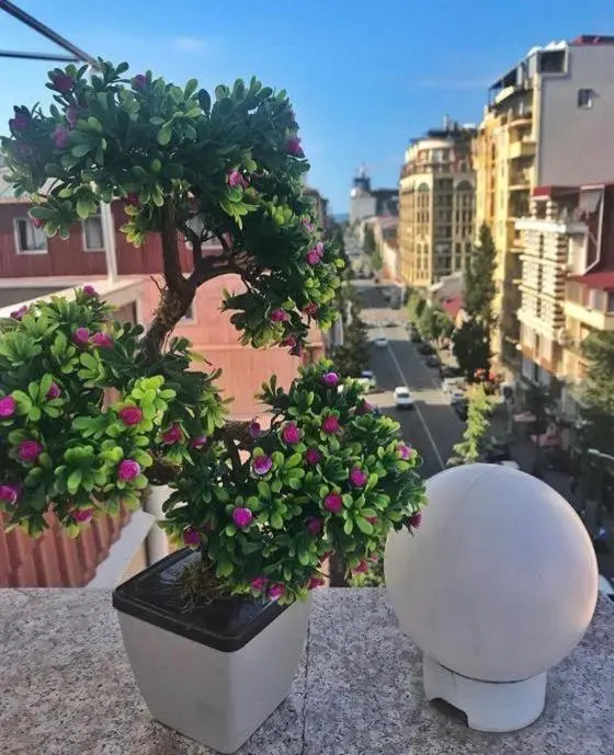 Hotel Elio Inn