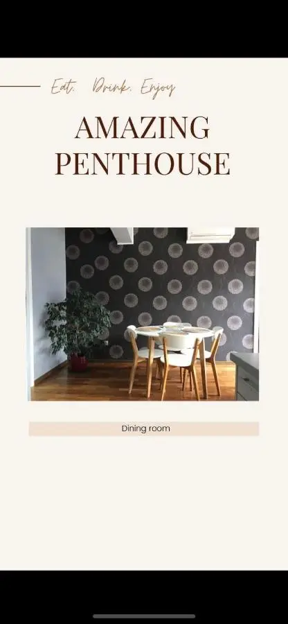 Amazing Penthouse old town
