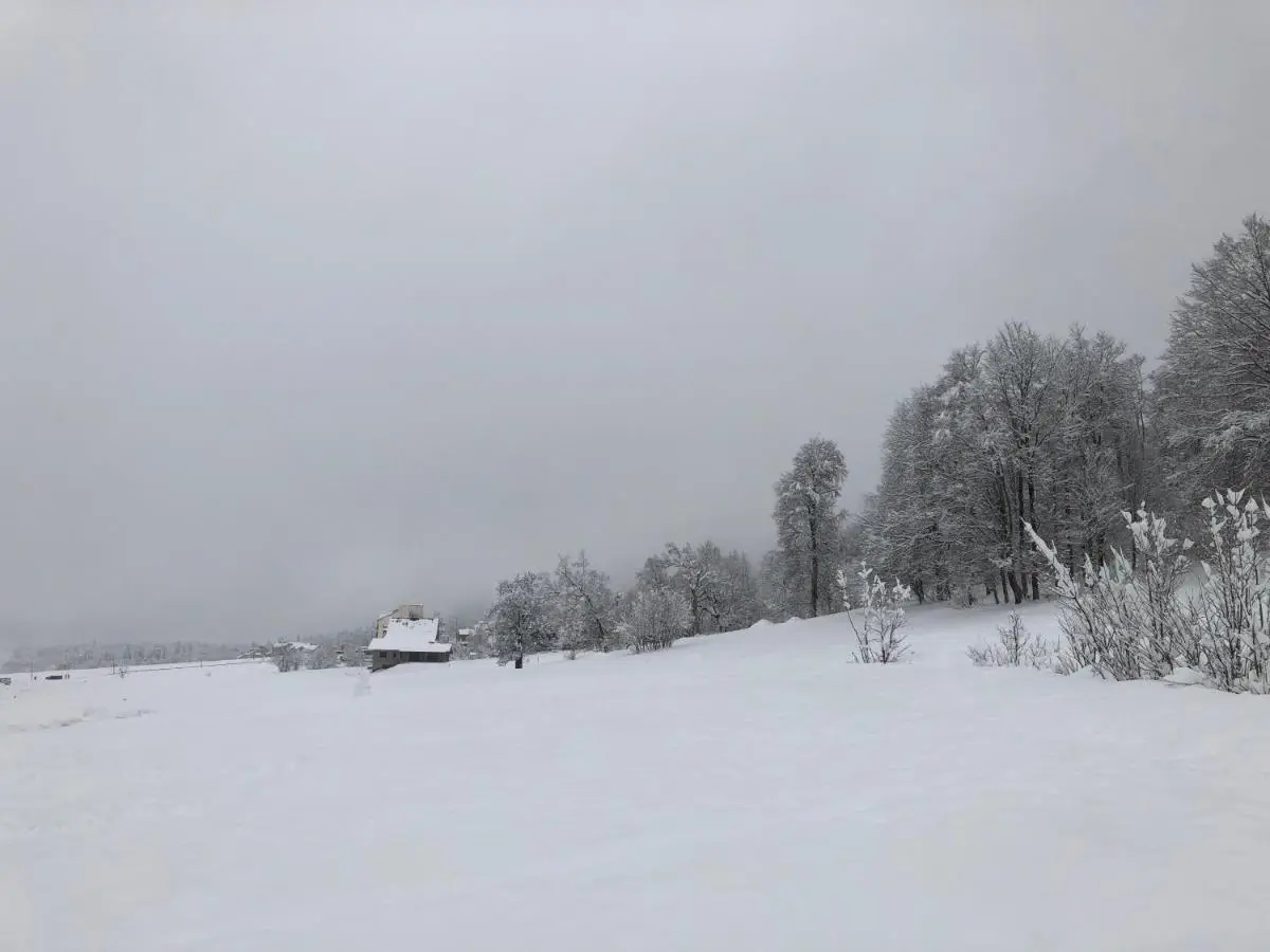 Cottage in Bakuriani