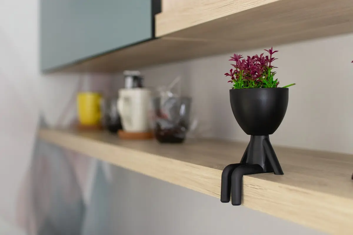 Cozy Solo Studio