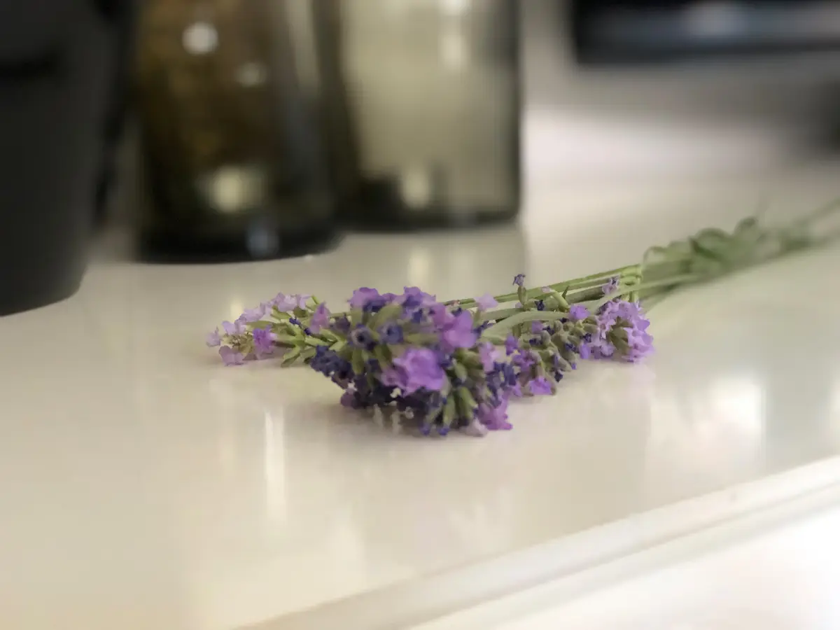 Lavanda Apartment-15 min walk to the Old Bridge