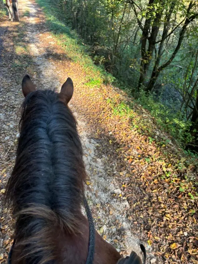 Ranch Jajce