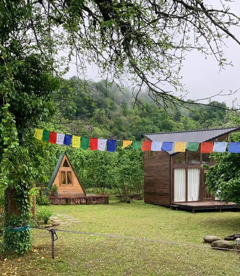 Dumbo Eco Camp