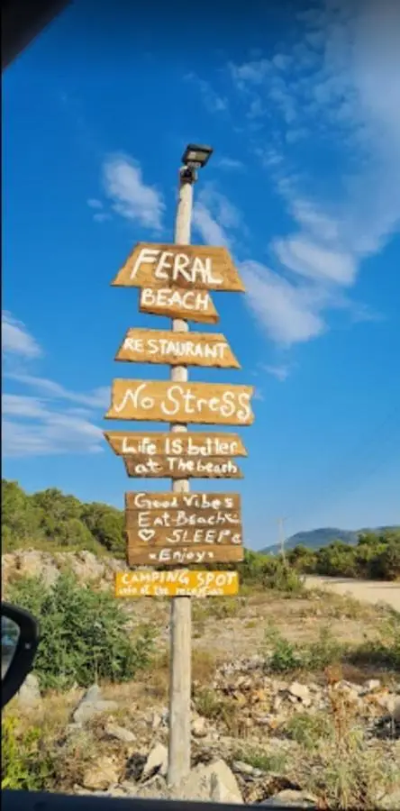 Feral Beach