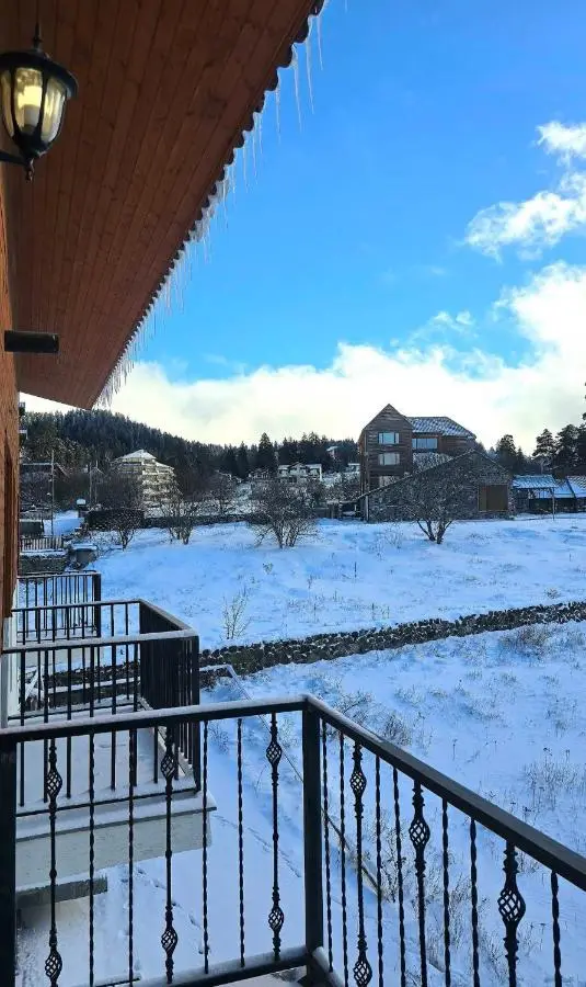 Cozy Retreat 3-Room Apartment 204 in Bakuriani with Stunning Views