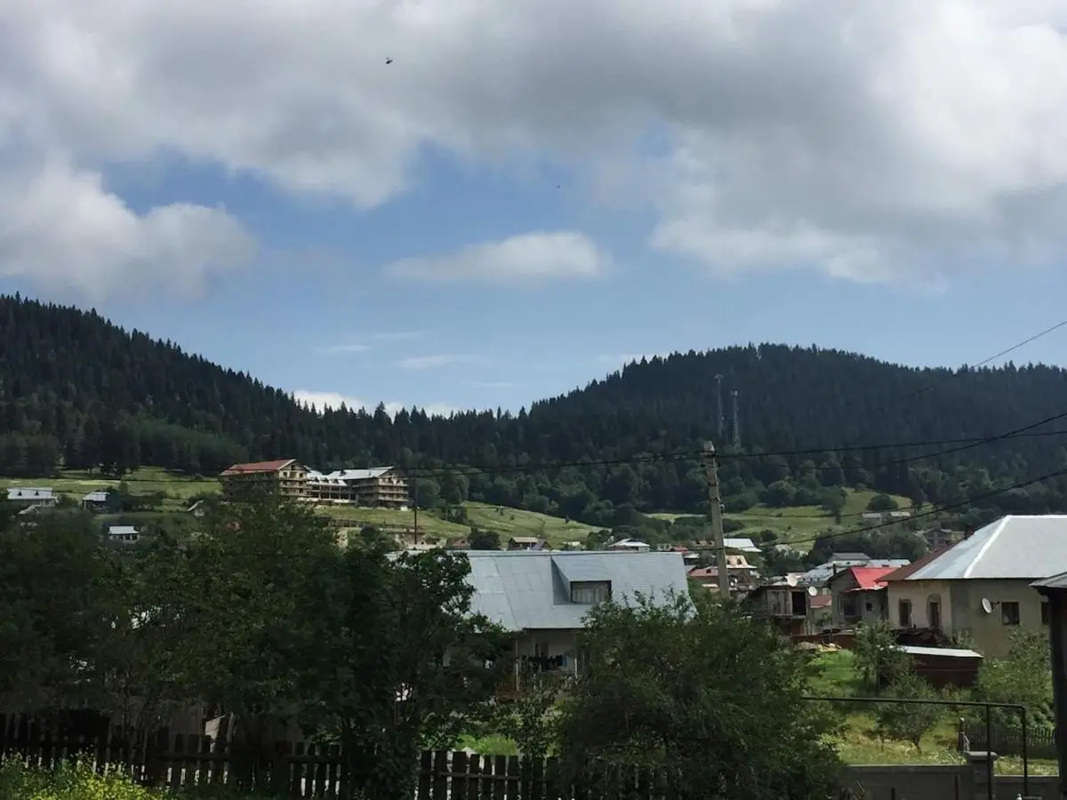 Best Villa in BAKURIANI Center
