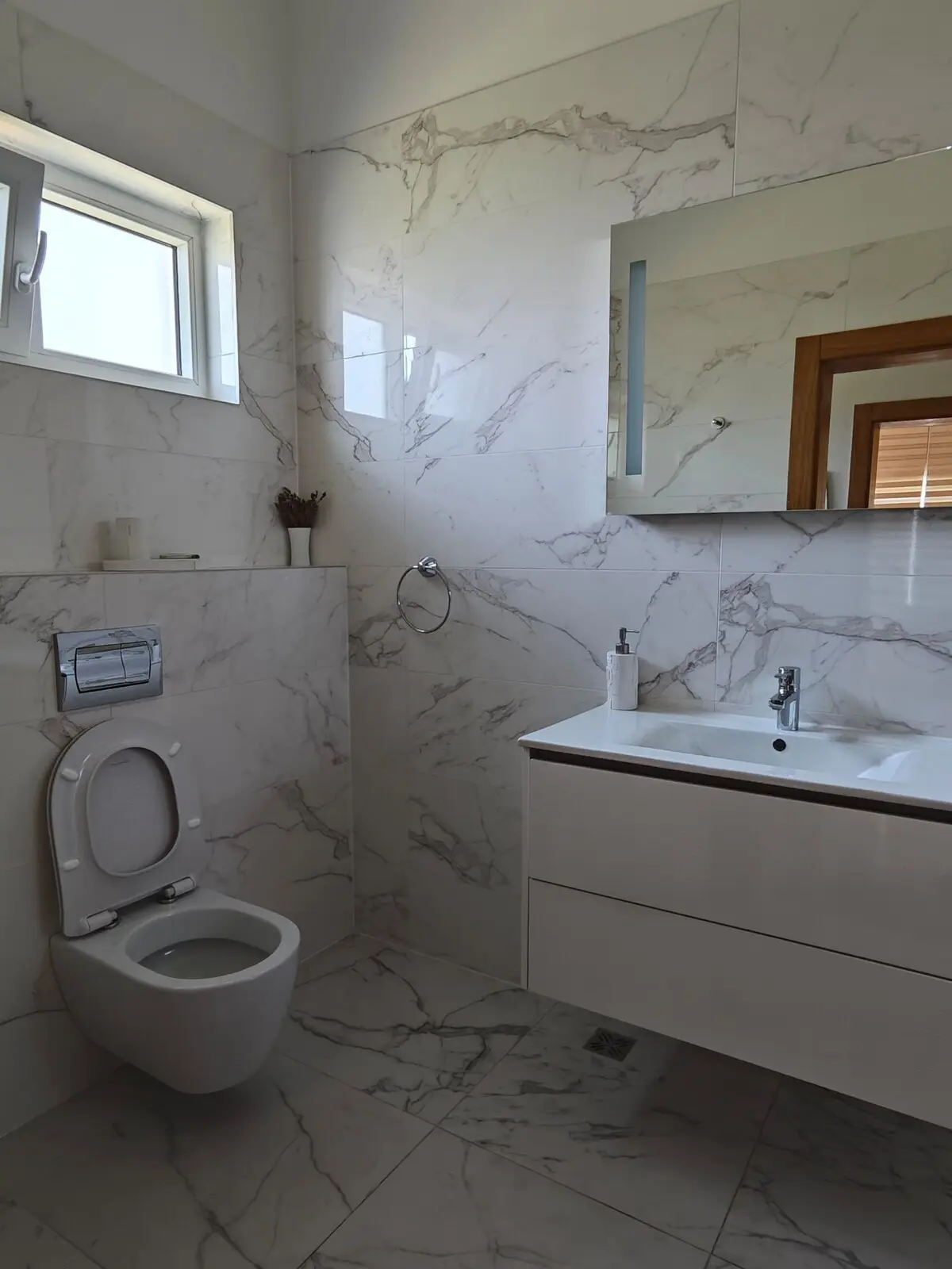 Luxury Villa Plandište 1