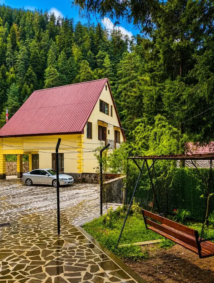 Hotel forest echo