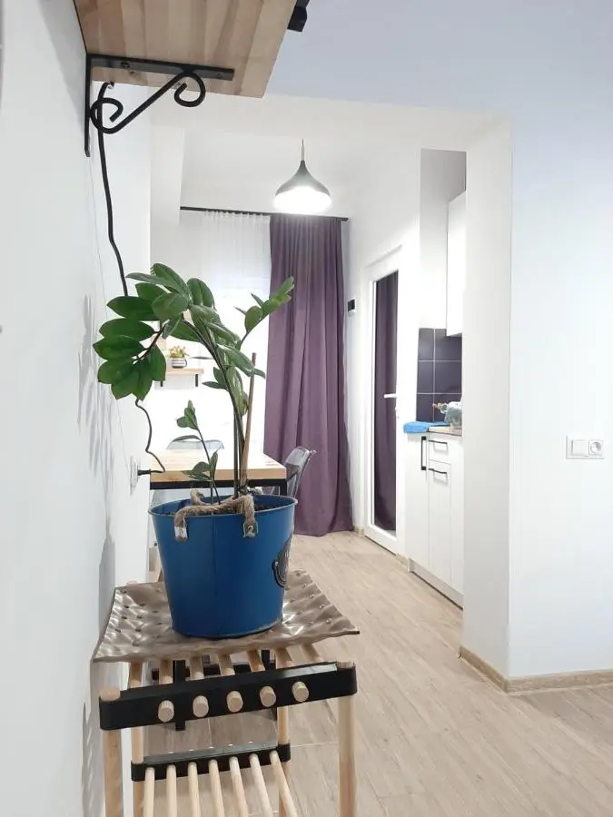 Style Apartment with Courtyard