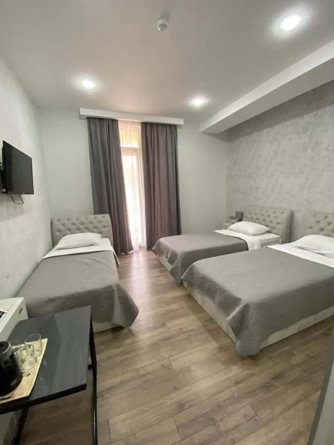 Hotel Rustaveli Kutaisi