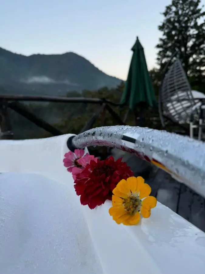 Glamping Machakhela