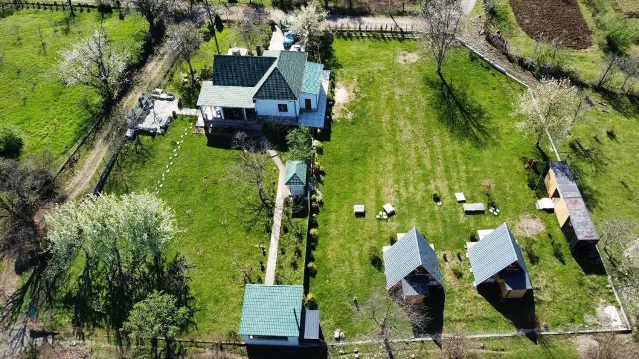 VILLA ROKITI near Kutaisi