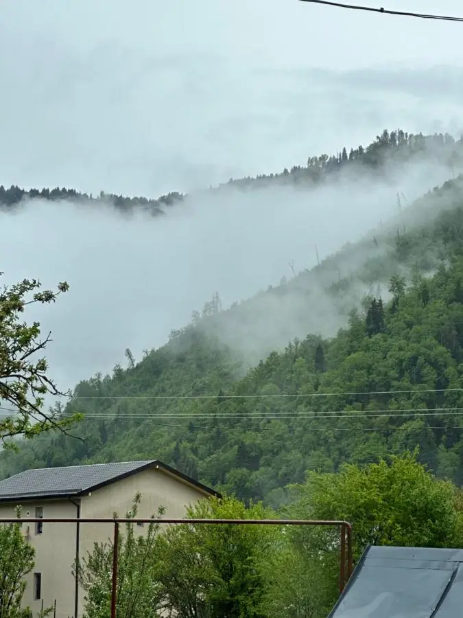 Green Mountain Borjomi