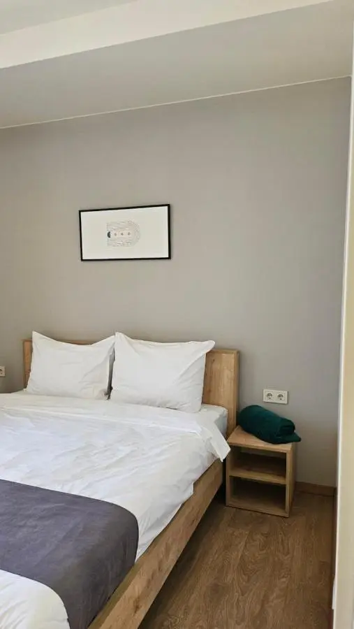 Arkhi Kokhta Bakuriani Apt 304