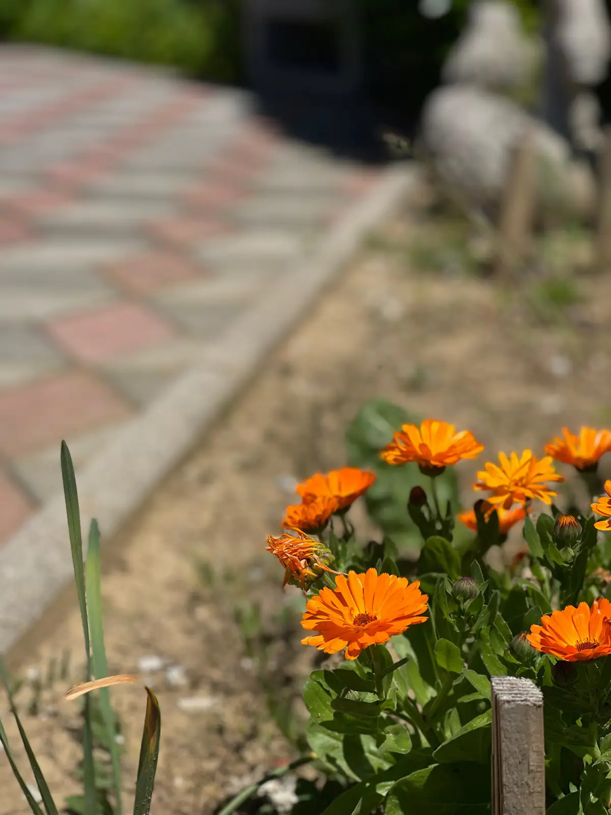 Sarajevo Villa: Garden, Kids’ Pool, Calm Area