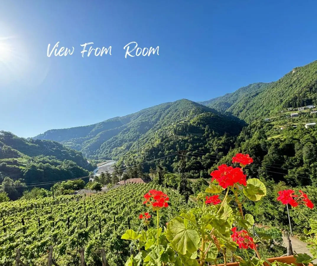 Hotel Chateau Iveri