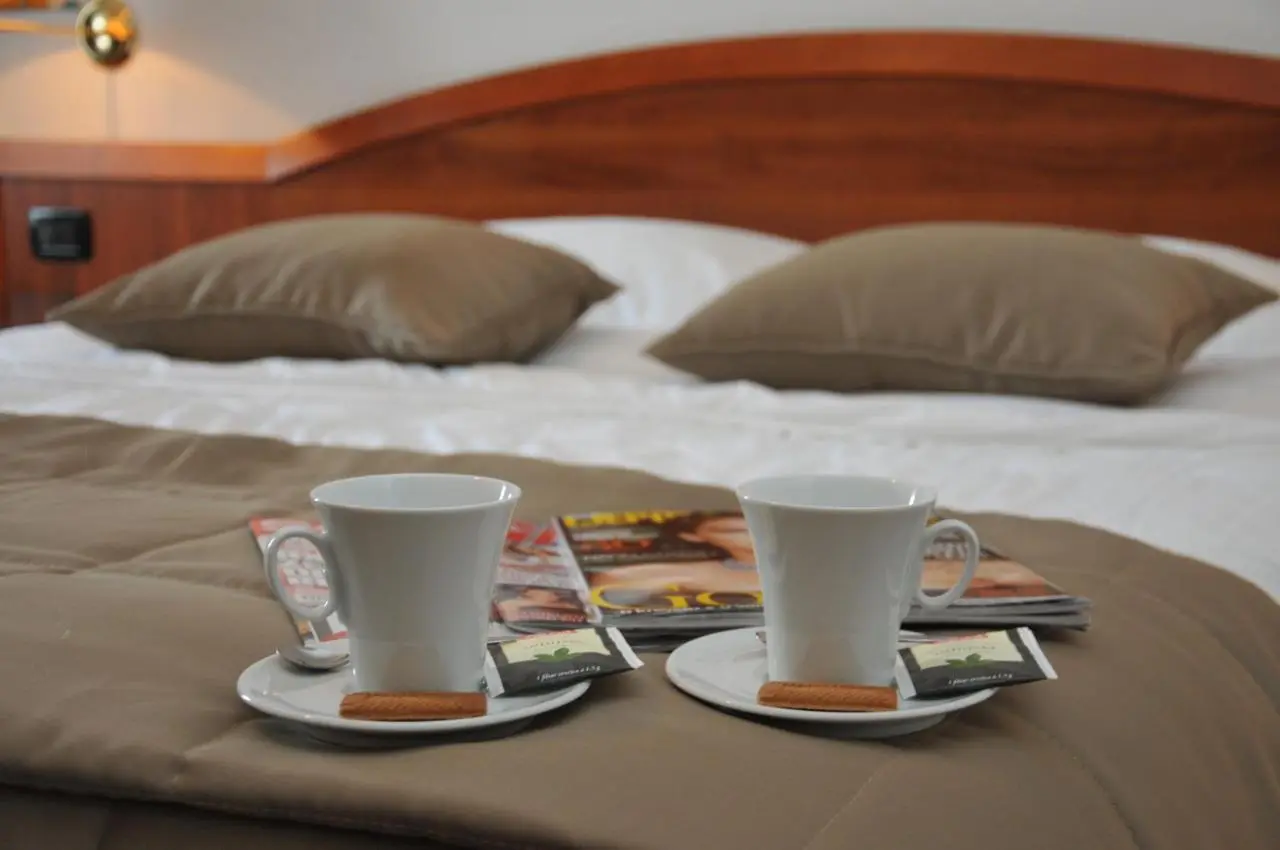 Hotel Terex