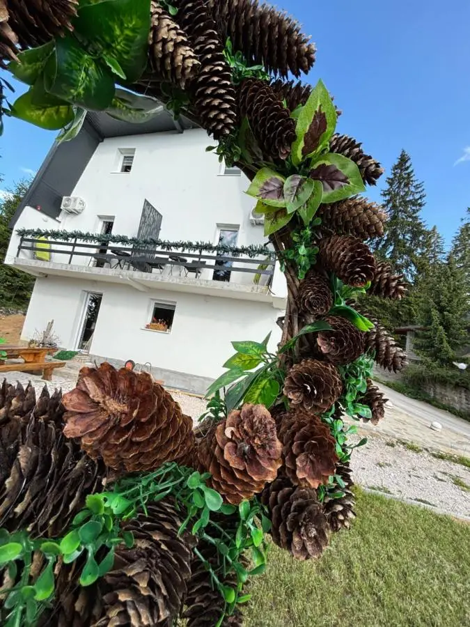 Apartmani Snježna Kraljica Vlašić 2