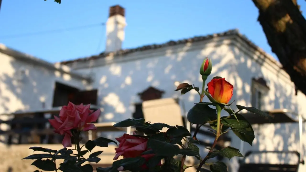 "Per Mik" cottage in vineyard