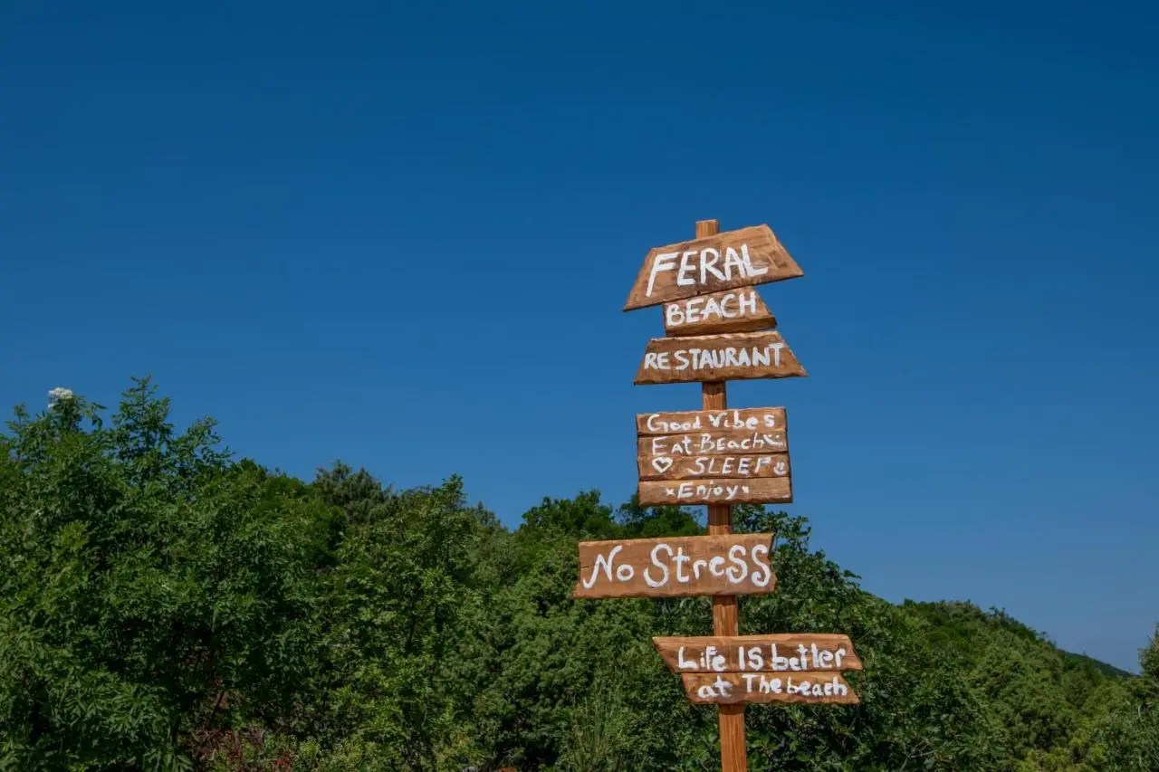 Feral Beach