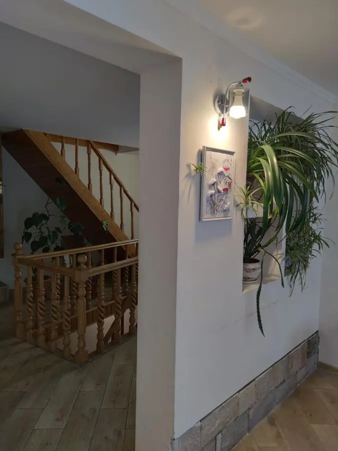 Hotel Zemo Aragvi