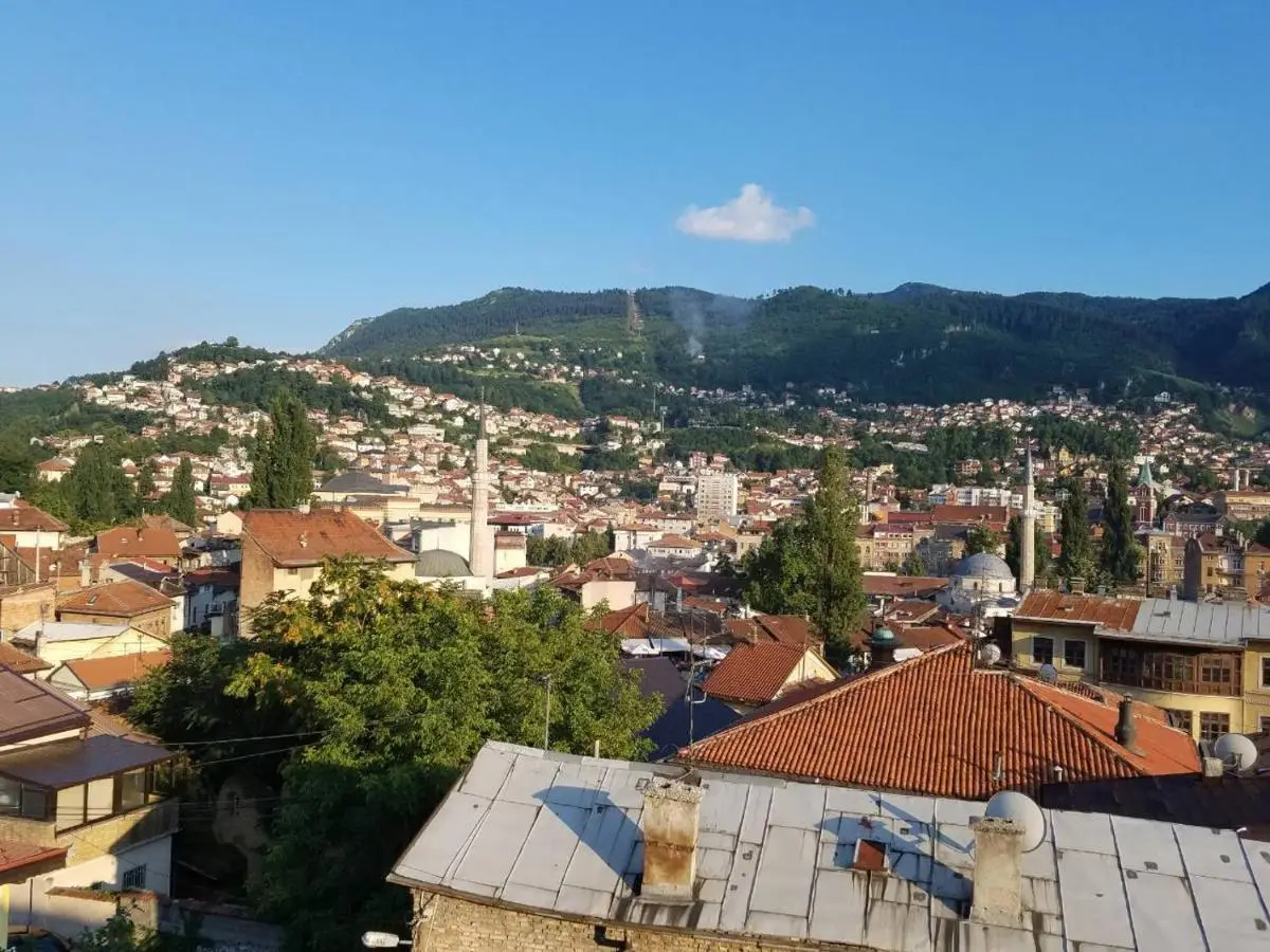Curovac View