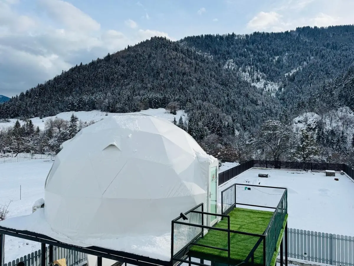 Buddy glamping Borjomi