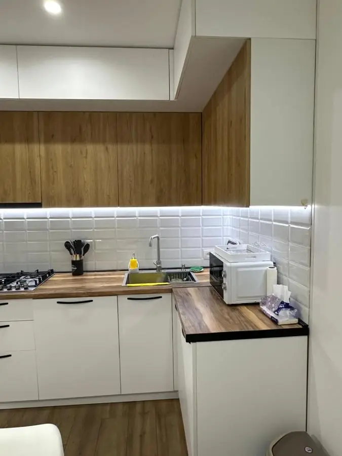 Modern apartment in Borjomi