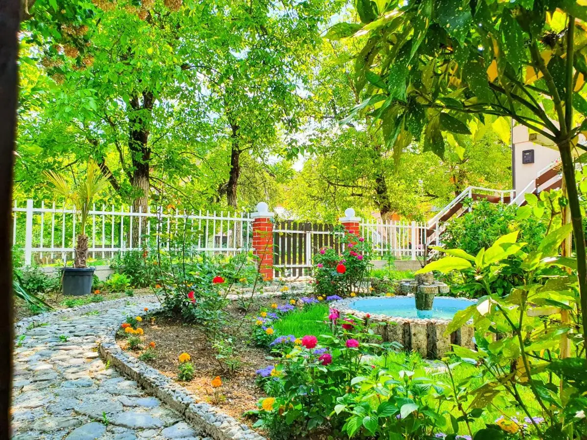 Spago Green Oasis