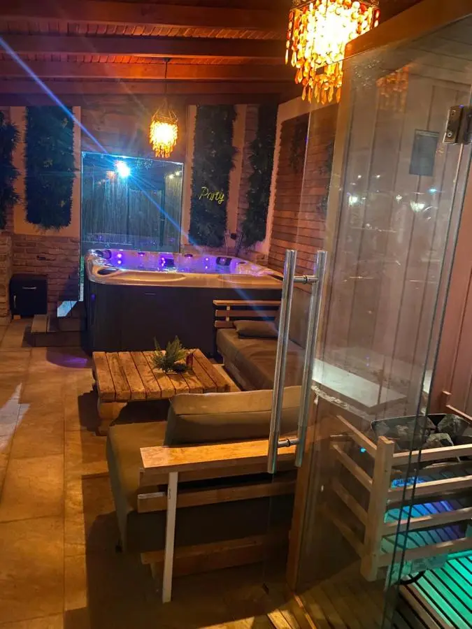 Sarajevo Deluxe penthouse and pool