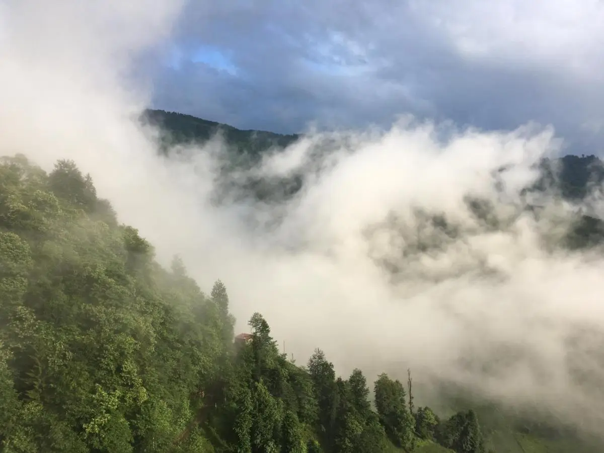 Gunguli Pansiyon