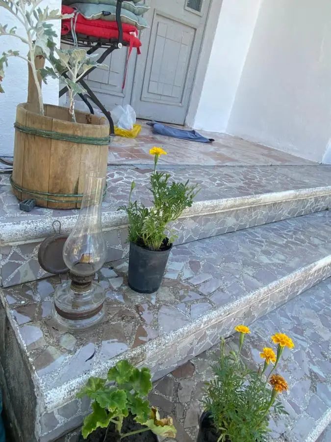 Roza's Guest House Camping Shkoder