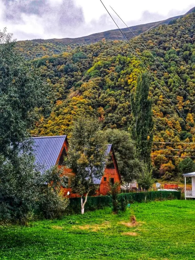 Panorama cottages Kazbegi