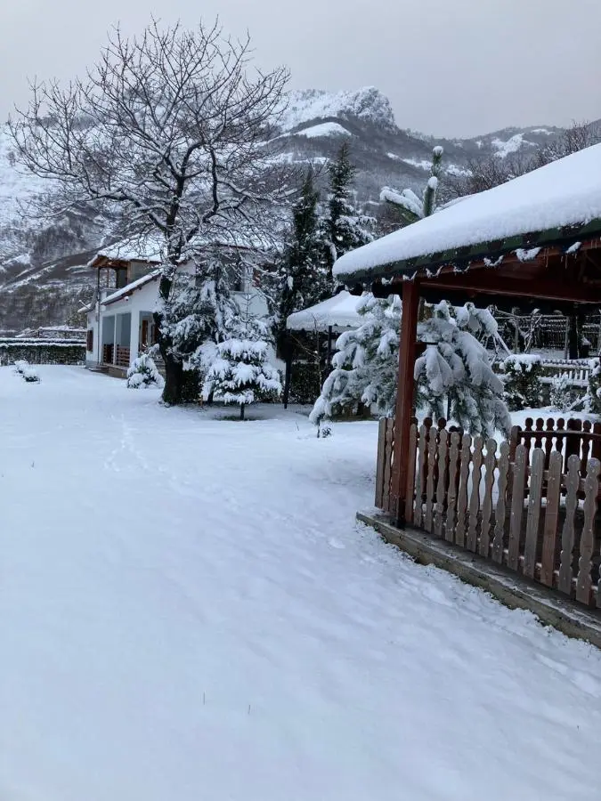 Paja Guesthouse - Camping