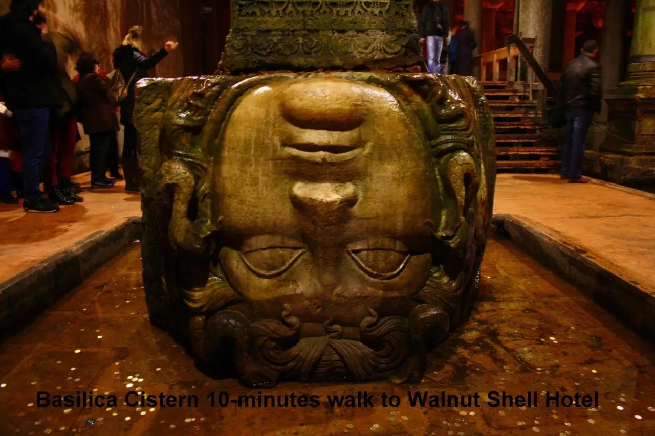 Walnut Shell Hotel