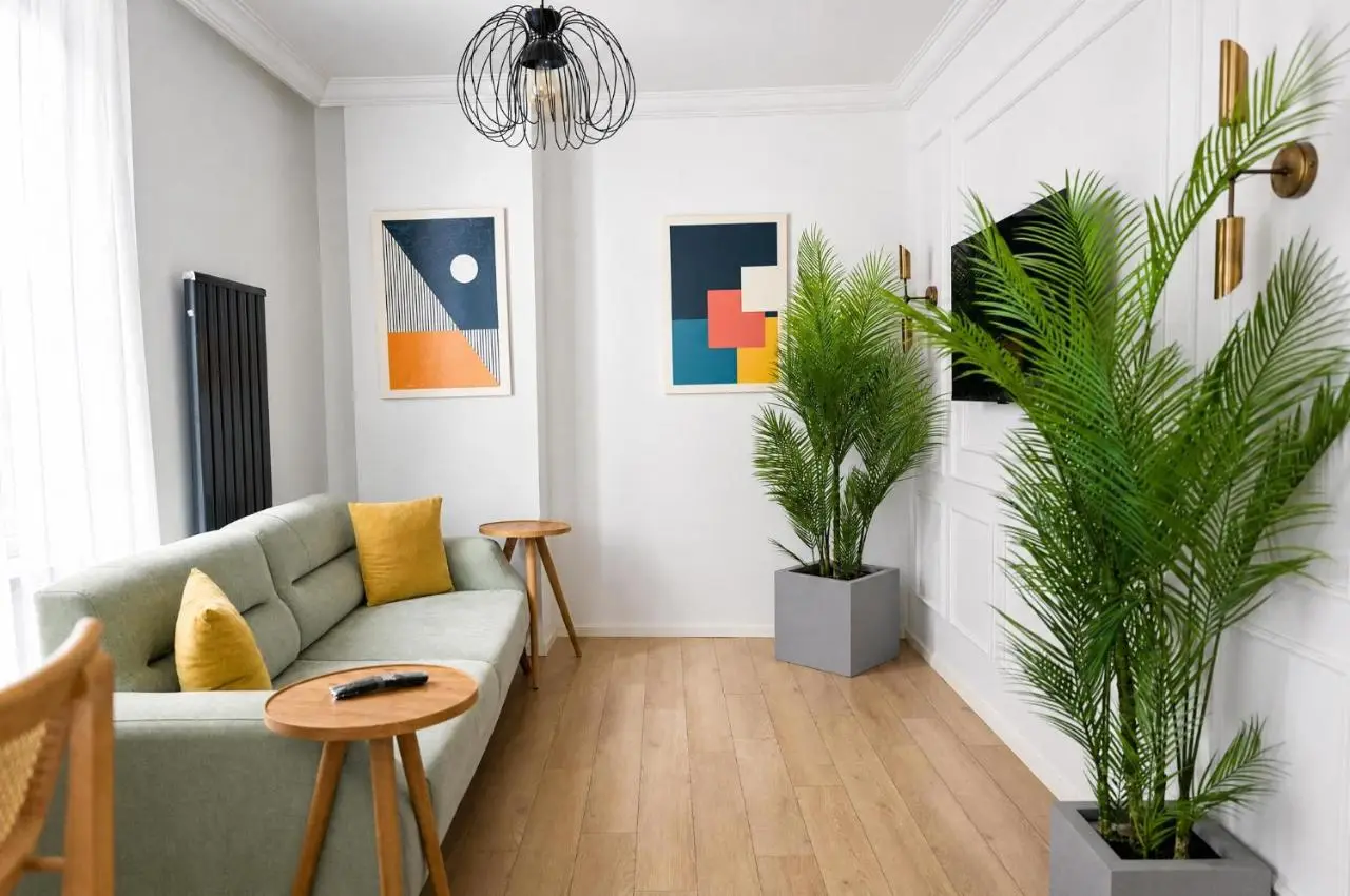Bird Nest Suites