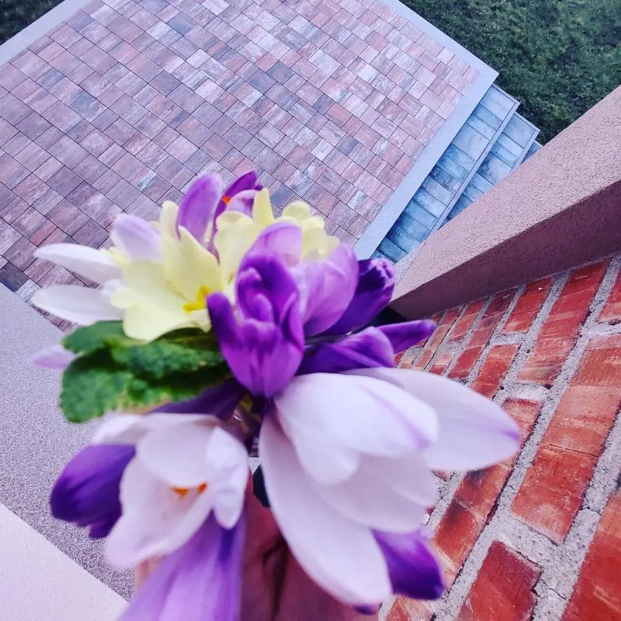 Vikendica Villa Ramona Banja Luka