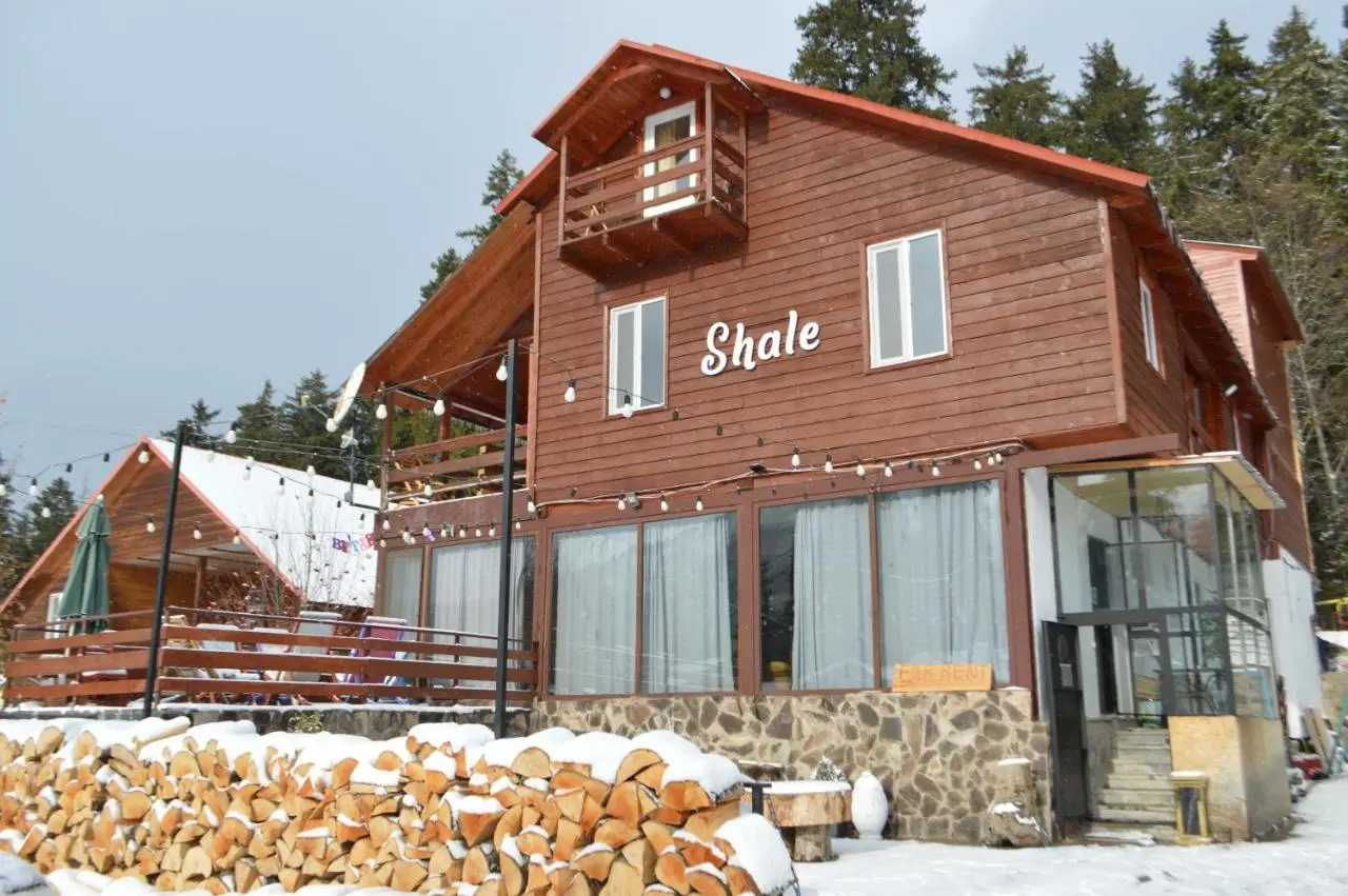 Boutique Hotel Shale