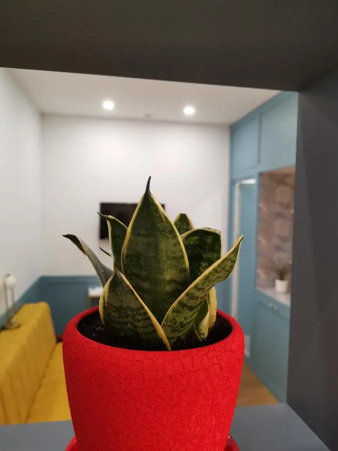 3 Rooms Hotel