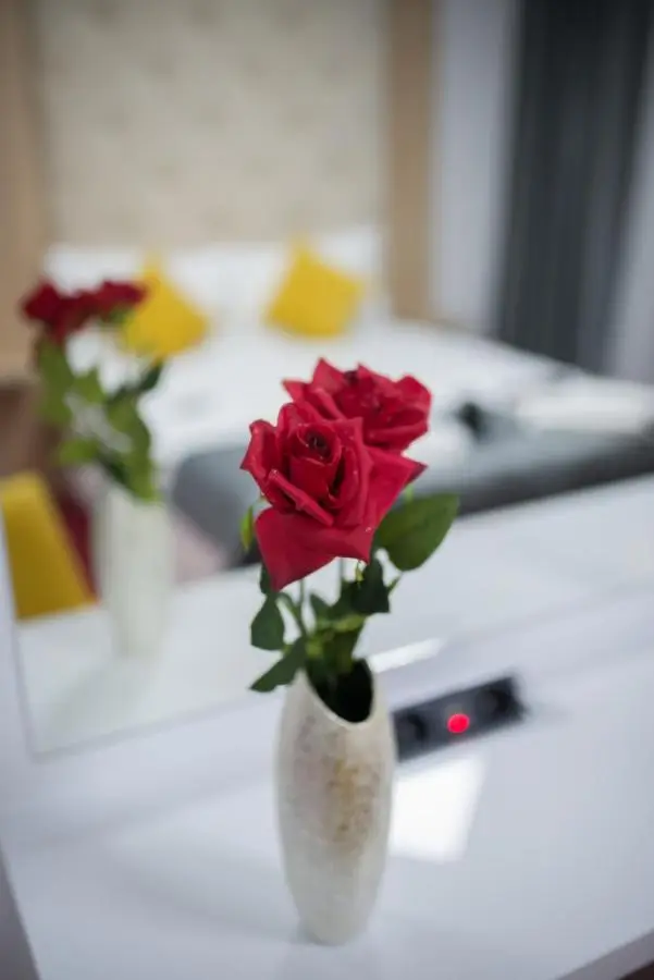 Delux Apartmani Bulevar