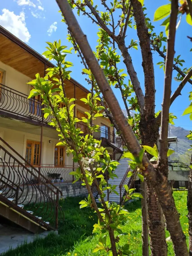 Sunny Mountain House
